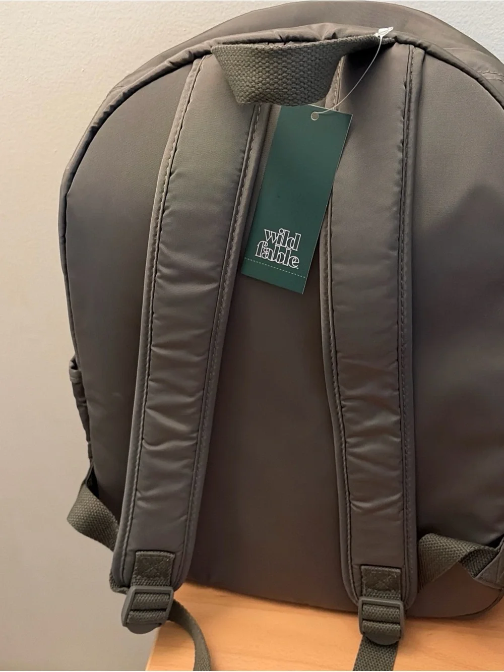 Collegiate Dome Backpack - Wild Fable Green